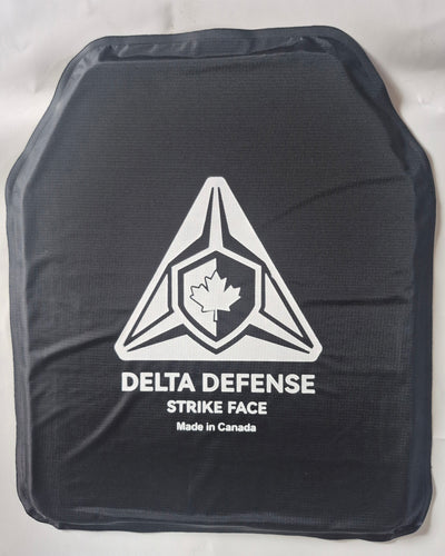 IIIa 10x12 panel, front