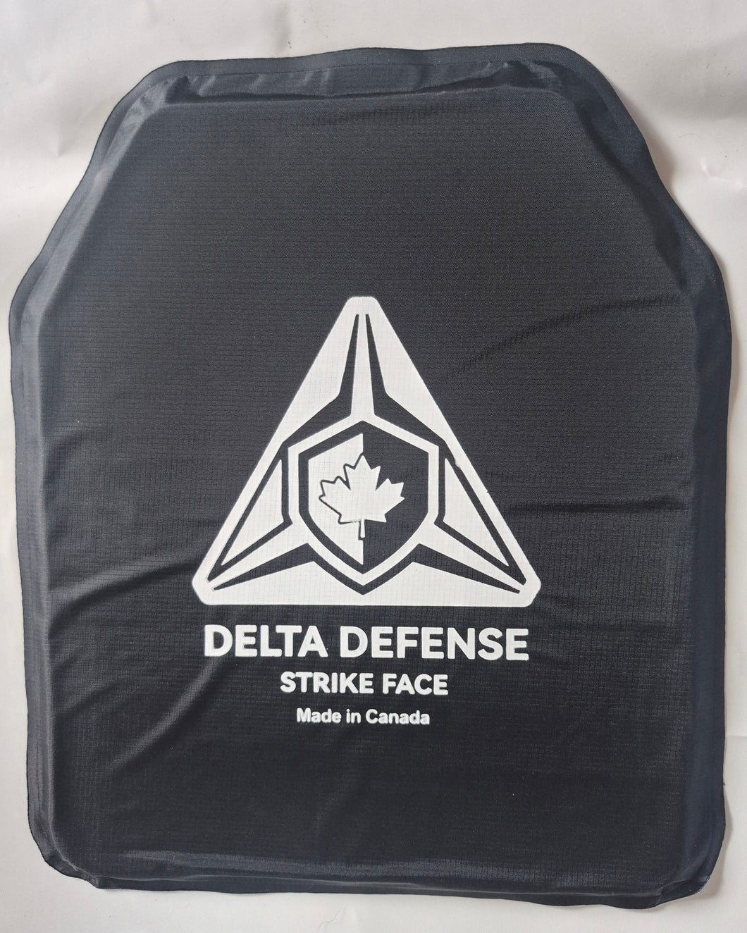 IIIa 10x12 panel, front